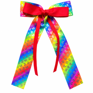 Jojo Medium Tail Rainbow Clover Hair Bow Clip #JOJO18
