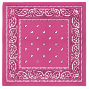 Pink Paisley Bandana with White Decorative Border and Teardrop Pattern