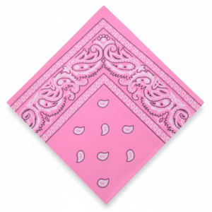 Pink Paisley Bandana with Black Decorative Border and Teardrop Pattern