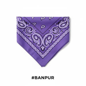 Purple Printed Paisley Bandana #BANPUR